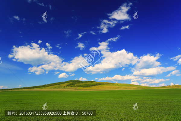 麥田