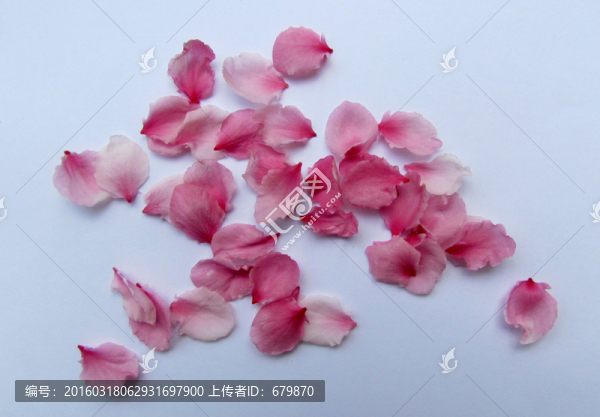 桃花花瓣