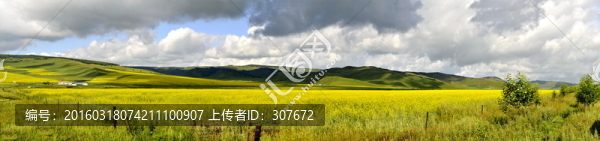美麗的草原