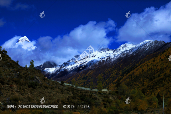 四姑娘山美景