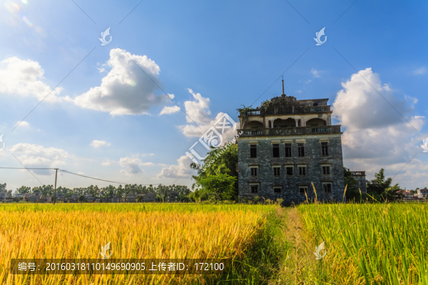 廣東開(kāi)平碉樓加拿大村