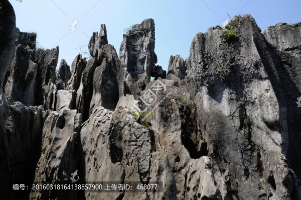 華鎣山石林