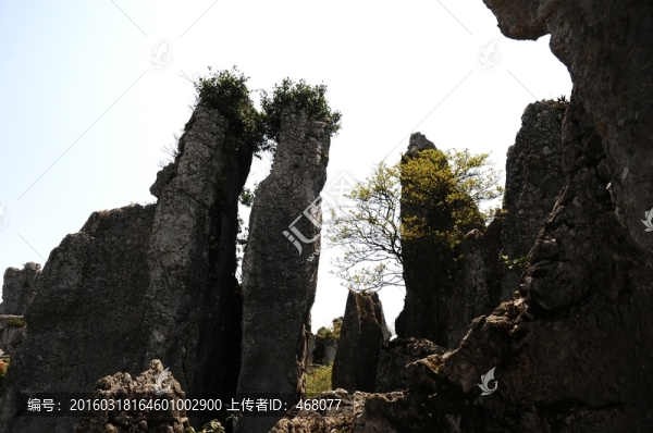 華鎣山石林