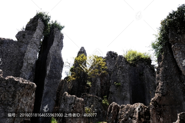 華鎣山石林