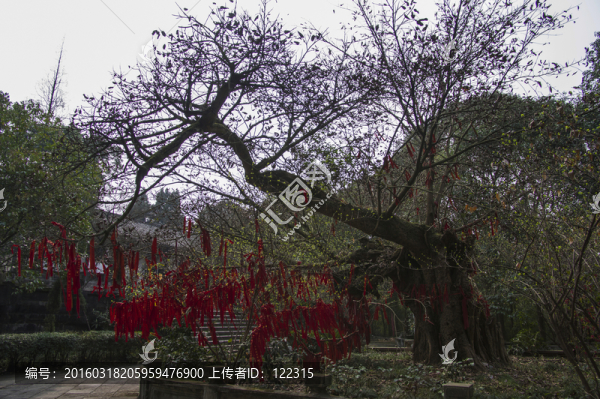 新津觀音寺宋少保故里