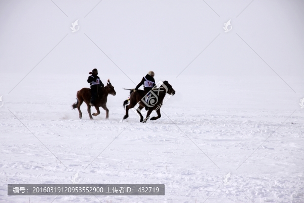 冬季雪地賽馬