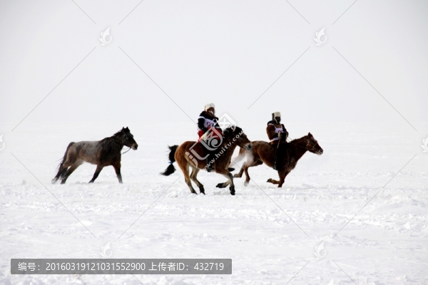 冬季雪原賽馬