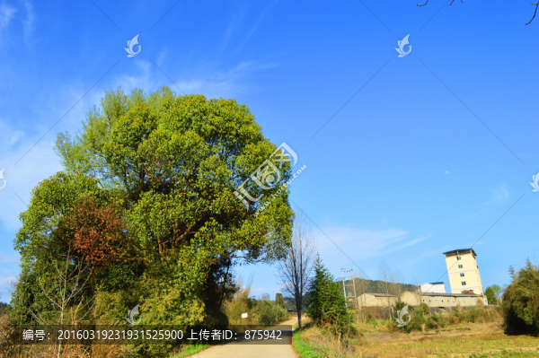 鄉(xiāng)村美景