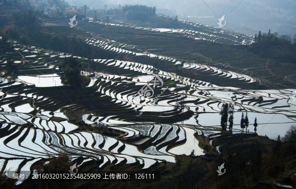元陽梯田
