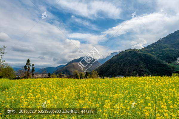 瀘定磨西田園風(fēng)光
