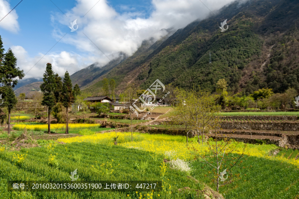 瀘定磨西田園風(fēng)光