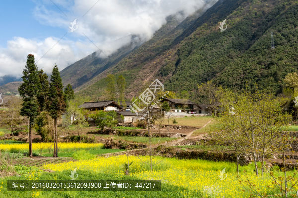 瀘定磨西田園風(fēng)光