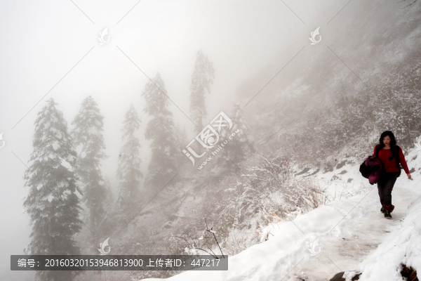 海螺溝雪景