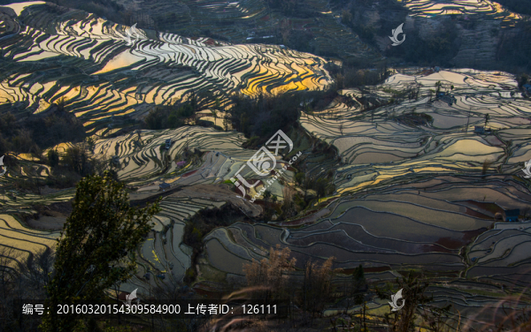 元陽梯田