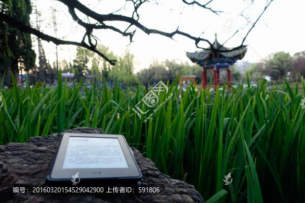 公園里的電紙書