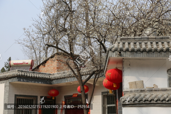 農(nóng)家春色