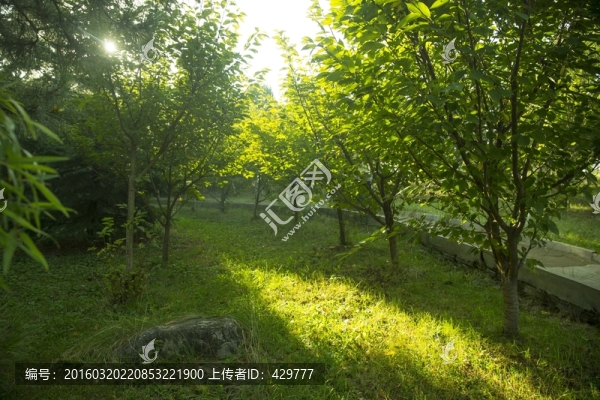 公園晨景