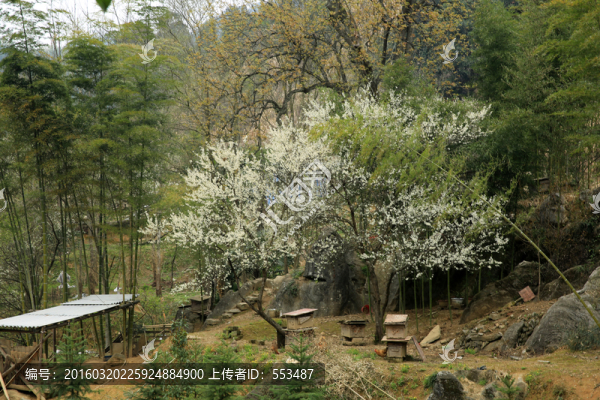 春暖花開
