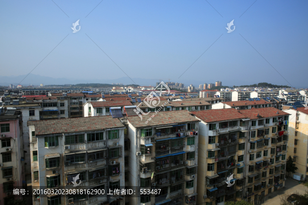 城市森林