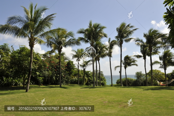 海南風(fēng)光