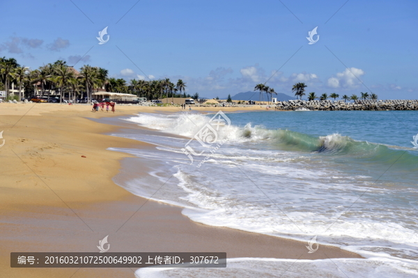 海