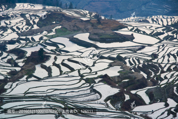 元陽(yáng)梯田