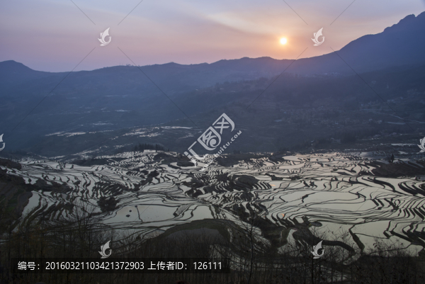 元陽梯田