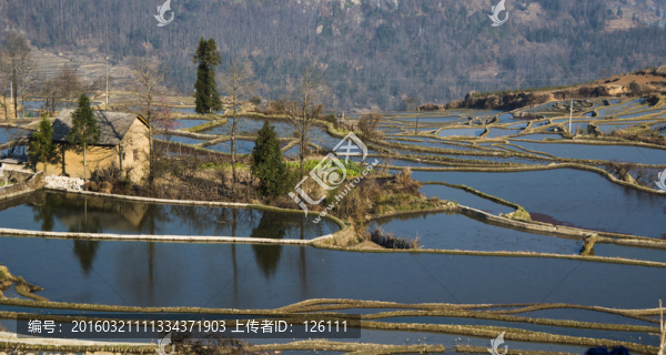 元陽梯田