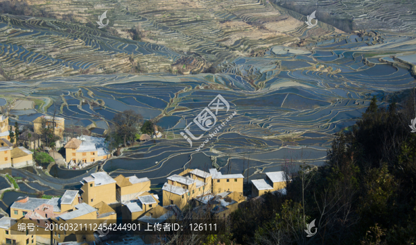 元陽(yáng)梯田