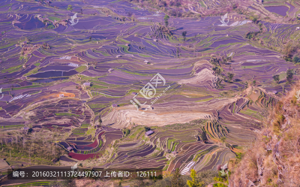 元陽(yáng)梯田