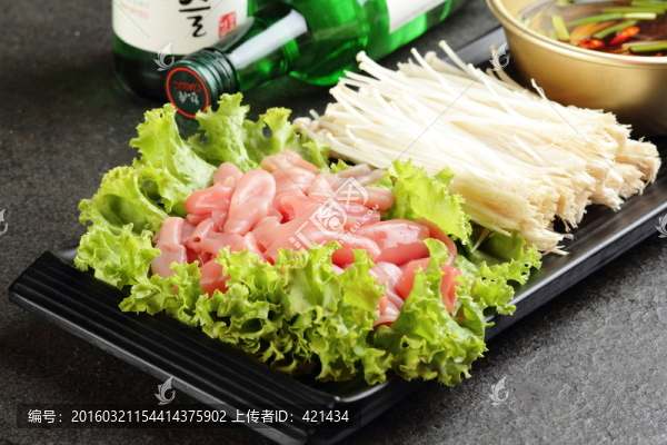 海腸