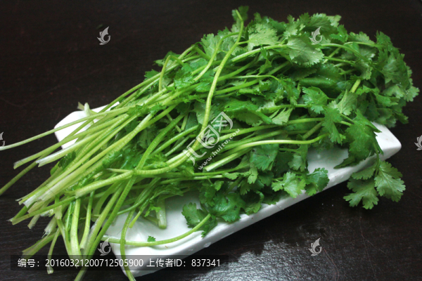香菜