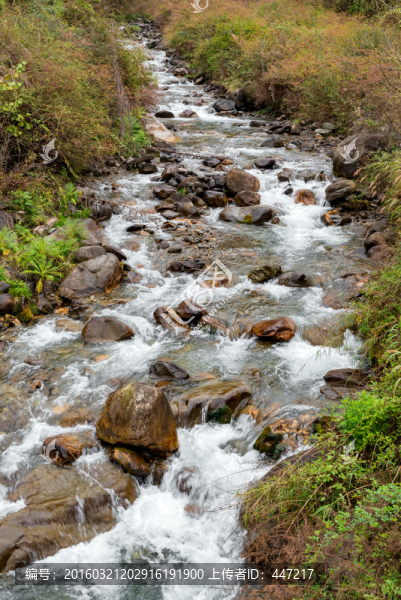 山澗溪流