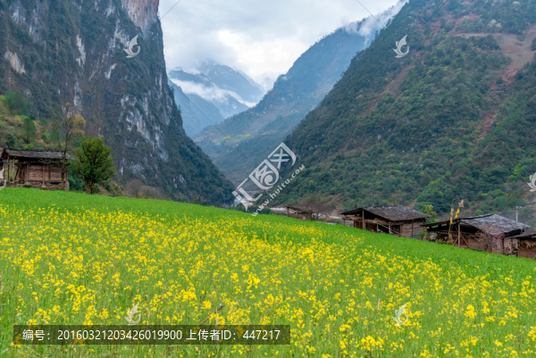 丙中洛霧里村