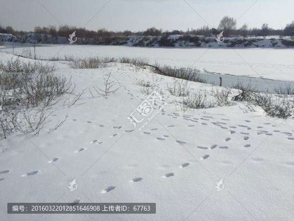 雪地足跡