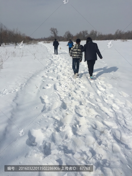 雪野,車轍,足跡