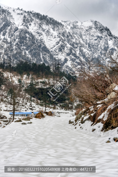 云南高黎貢山