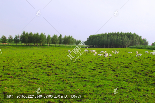 田園風光