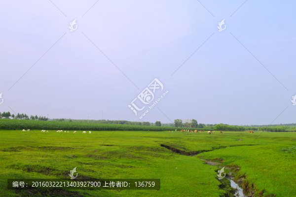 田園風(fēng)光