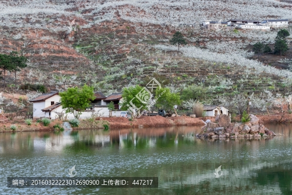 云龍梨園