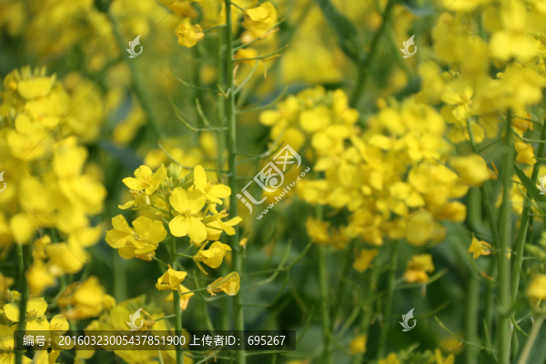 春暖花開