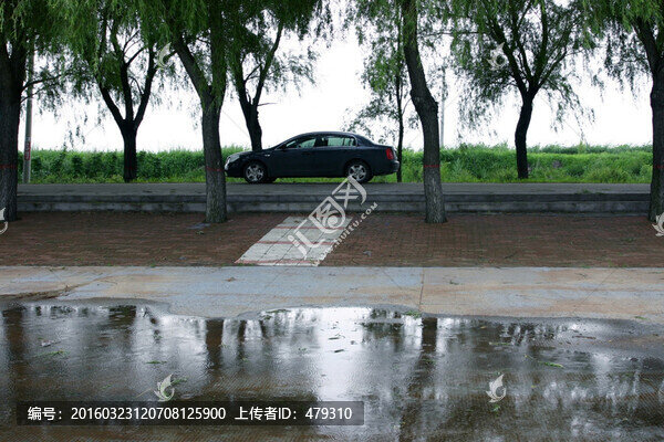 水渠,灌溉,農田,莊稼