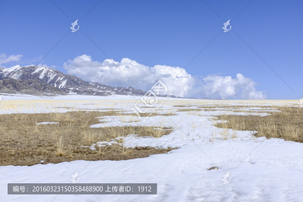 冬天的草原