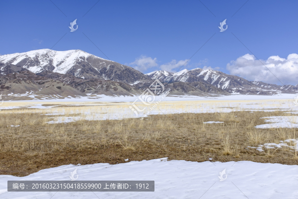 雪山草原