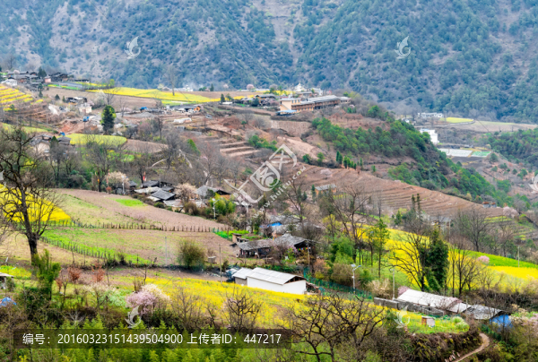 貢山丙中洛