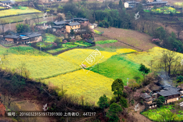 丙中洛
