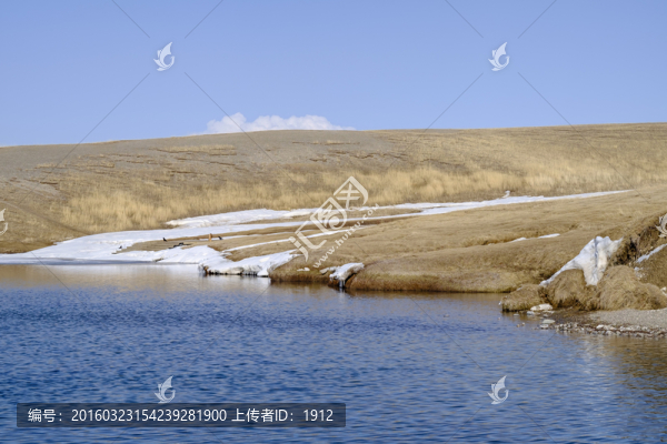 賽里木湖
