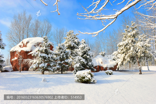 雪韻
