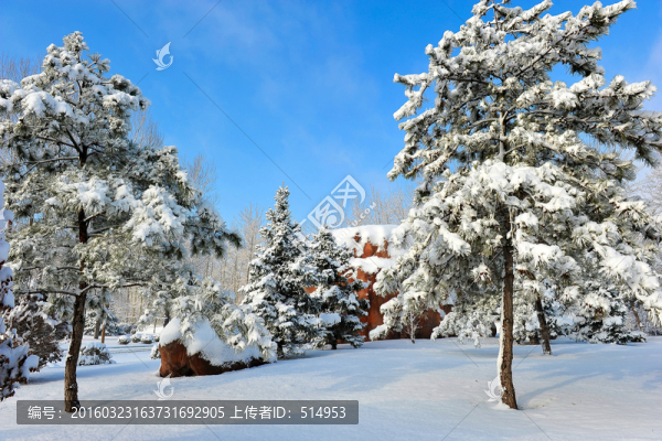 雪景