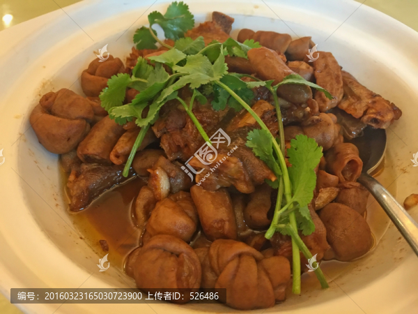鹵大腸